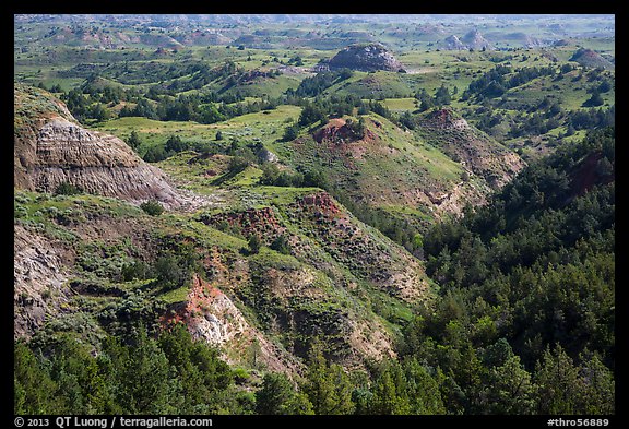 Vegetation-covered buttes. Theodore Roosevelt National Park (color)