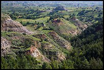 Vegetation-covered buttes. Theodore Roosevelt National Park, North Dakota, USA. (color)