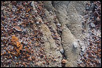 Close-up of clinker and clay. Theodore Roosevelt National Park, North Dakota, USA. (color)