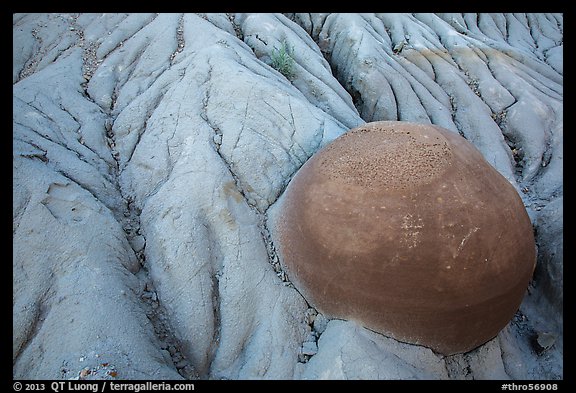 Cannonball concretion partly uncovered by erosion. Theodore Roosevelt National Park, North Dakota, USA.