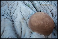 Cannonball concretion partly uncovered by erosion. Theodore Roosevelt National Park, North Dakota, USA. (color)