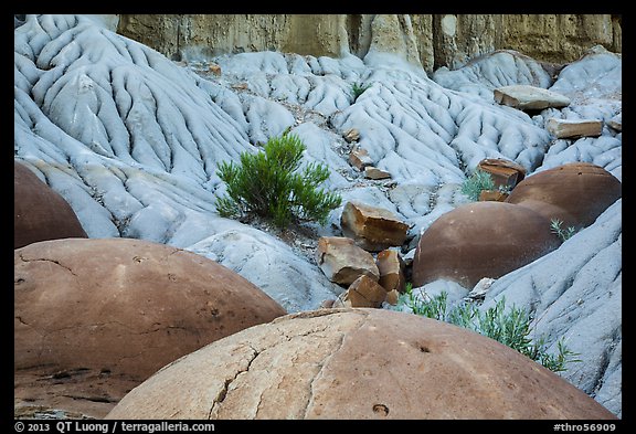 Cannonball concretions on badland folds. Theodore Roosevelt National Park, North Dakota, USA.