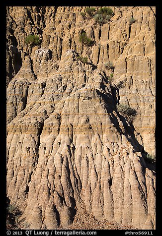 Wall with pillars. Theodore Roosevelt National Park (color)