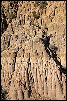 Wall with pillars. Theodore Roosevelt National Park ( color)