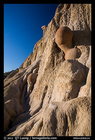 Cannonball concretions on cliff. Theodore Roosevelt National Park, North Dakota, USA.