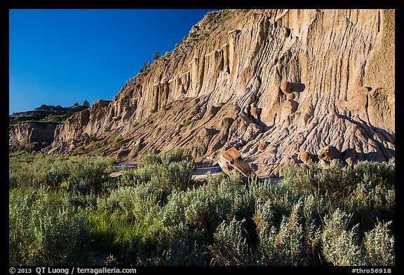 Grasses and cliff with cannonball concretions. Theodore Roosevelt National Park (color)