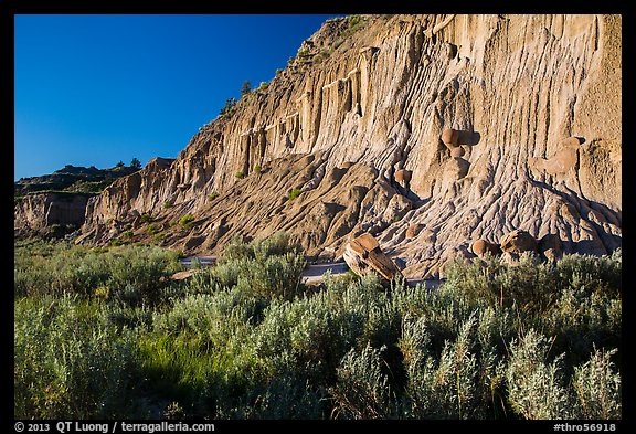 Grasses and cliff with cannonball concretions. Theodore Roosevelt National Park, North Dakota, USA.