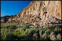 Grasses and cliff with cannonball concretions. Theodore Roosevelt National Park ( color)