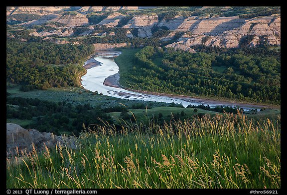 Grasses, Little Missouri river bend and badlands. Theodore Roosevelt National Park (color)