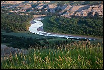 Grasses, Little Missouri river bend and badlands. Theodore Roosevelt National Park, North Dakota, USA. (color)
