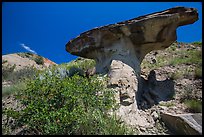 Anvil-shaped caprock. Theodore Roosevelt National Park, North Dakota, USA. (color)