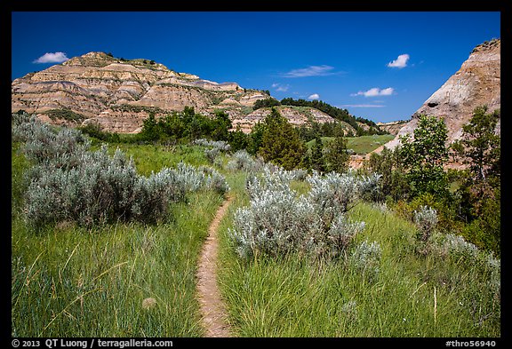 Caprock coulee trail. Theodore Roosevelt National Park, North Dakota, USA.