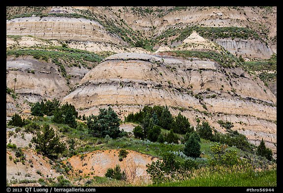 Badlands strata. Theodore Roosevelt National Park (color)