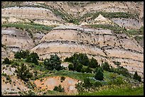 Badlands strata. Theodore Roosevelt National Park ( color)