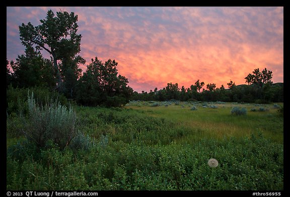 Meadow and colorful sunset clouds, Elkhorn Ranch Unit. Theodore Roosevelt National Park, North Dakota, USA.