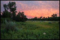 Meadow and colorful sunset clouds, Elkhorn Ranch Unit. Theodore Roosevelt National Park, North Dakota, USA. (color)