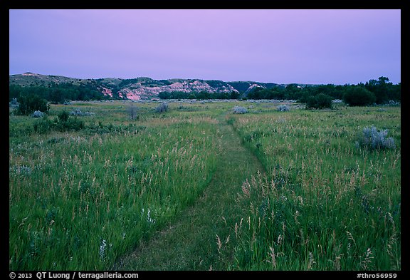 Faint trail at dusk, Elkhorn Ranch Unit. Theodore Roosevelt National Park, North Dakota, USA.