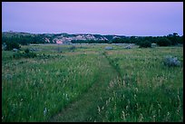 Faint trail at dusk, Elkhorn Ranch Unit. Theodore Roosevelt National Park, North Dakota, USA.