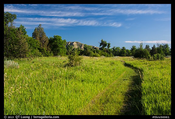 Trail through meadow, cottowoods and distant badlands, Elkhorn Ranch Unit. Theodore Roosevelt National Park (color)