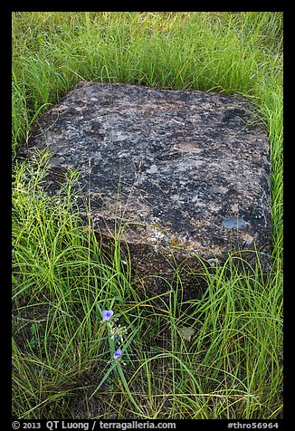 Foundation stone of Roosevelt Elkhorn Ranch. Theodore Roosevelt National Park (color)