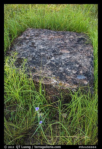 Foundation stone of Roosevelt Elkhorn Ranch. Theodore Roosevelt National Park (color)
