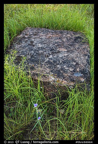 Foundation stone of Roosevelt Elkhorn Ranch. Theodore Roosevelt National Park, North Dakota, USA.