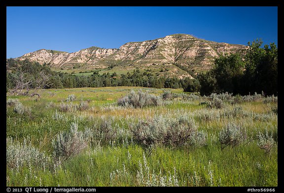 View from Roosevelt Elkhorn Ranch site. Theodore Roosevelt National Park (color)