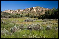 View from Roosevelt Elkhorn Ranch site. Theodore Roosevelt National Park ( color)