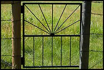 Detail of motif of gate to Elkhorn Ranch. Theodore Roosevelt National Park, North Dakota, USA. (color)