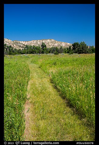 Grassy faint trail and badlands, Elkhorn Ranch Unit. Theodore Roosevelt National Park, North Dakota, USA.