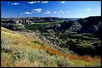 Forested Badlands. Theodore Roosevelt National Park, North Dakota, USA. (color)