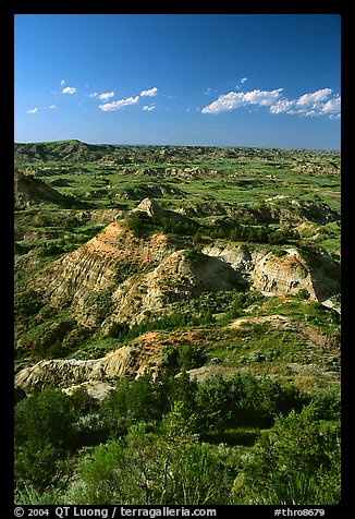 Painted Canyon, late afternoon. Theodore Roosevelt National Park (color)