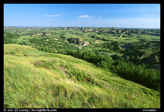 Prairie and badlands from Buck Hill, early morning. Theodore Roosevelt National Park, North Dakota, USA.