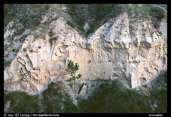 Wind Canyon walls. Theodore Roosevelt National Park (color)