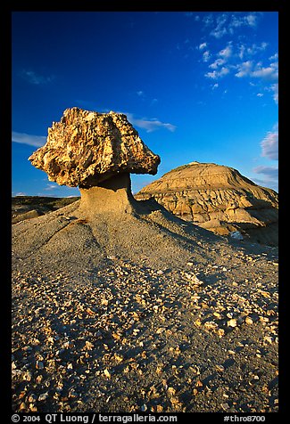 Pedestal petrified log and badlands, late afternoon. Theodore Roosevelt National Park, North Dakota, USA.