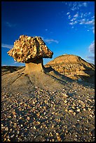 Pedestal petrified log and badlands, late afternoon. Theodore Roosevelt National Park, North Dakota, USA. (color)