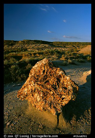 Colorful Petrified stump. Theodore Roosevelt National Park, North Dakota, USA.