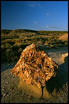 Colorful Petrified stump. Theodore Roosevelt National Park, North Dakota, USA.