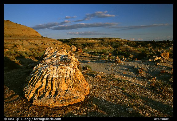 Big Petrified stump and badlands, late afternoon. Theodore Roosevelt National Park (color)