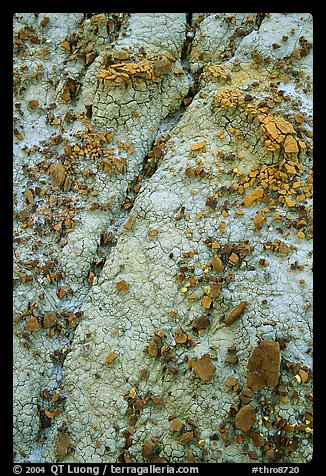 Small pieces of bakelite scattered over cracked bentonite, North Unit. Theodore Roosevelt National Park (color)