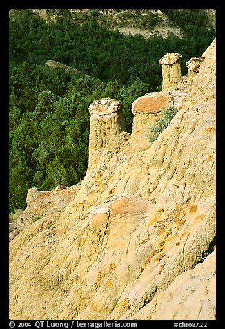 Rain pillars along Caprock coulee trail. Theodore Roosevelt National Park (color)