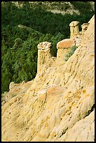 Rain pillars along Caprock coulee trail. Theodore Roosevelt National Park, North Dakota, USA.