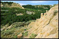 Rain Pillars, Caprock coulee trail, North Unit. Theodore Roosevelt National Park, North Dakota, USA.