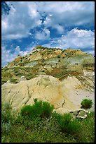 Colorfull badlands, North Unit. Theodore Roosevelt National Park ( color)