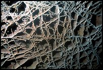 The cave unique boxwork, a calcite formation. Wind Cave National Park, South Dakota, USA.