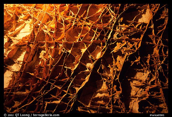 The cave unique boxwork, a calcite formation. Wind Cave National Park (color)