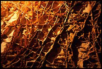 The cave unique boxwork, a calcite formation. Wind Cave National Park, South Dakota, USA.