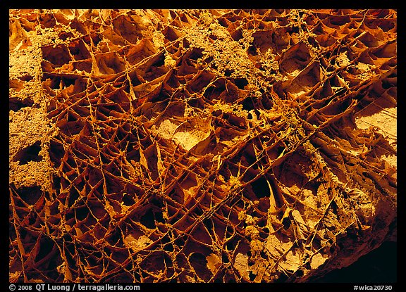 Boxwork ceilling cave formation. Wind Cave National Park, South Dakota, USA.