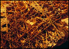 Boxwork ceilling cave formation. Wind Cave National Park, South Dakota, USA. (color)