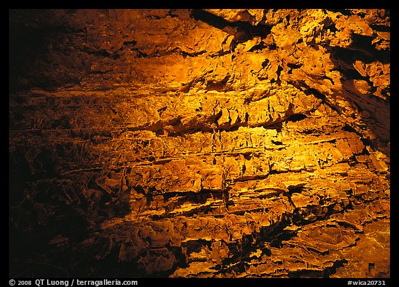 Cave concretions. Wind Cave  National Park (color)